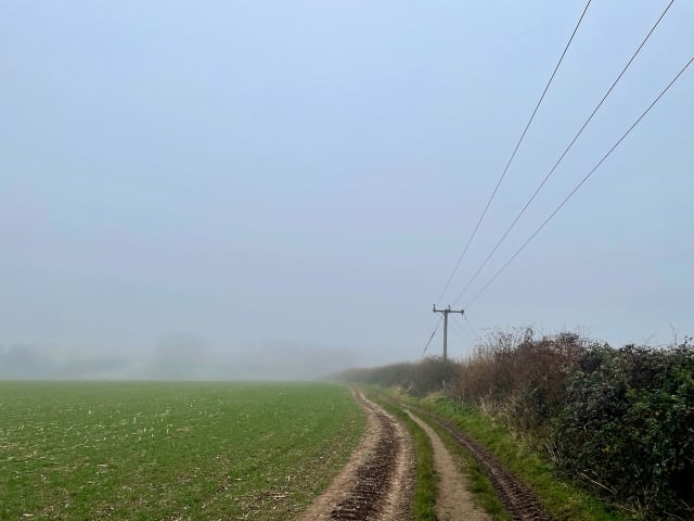 A view down a field hill with telephone wires. It's really foggy and you can barely see further than a few metres.